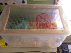 storage bin hamster cage